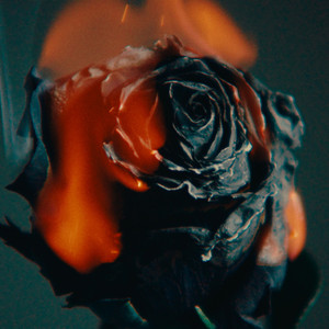 杨颖换脸裸体淫片
